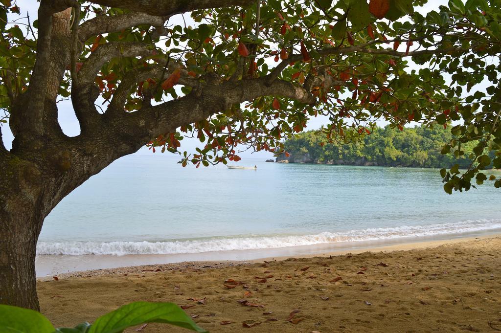 Kaz Kreol Beach Hotel Ocho Rios Exterior photo